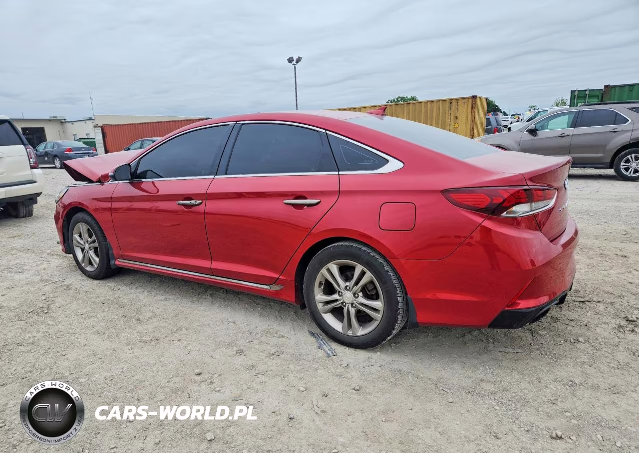 2019 Hyundai Sonata Sport VIN:5NPE34AF9KH806741 - 2