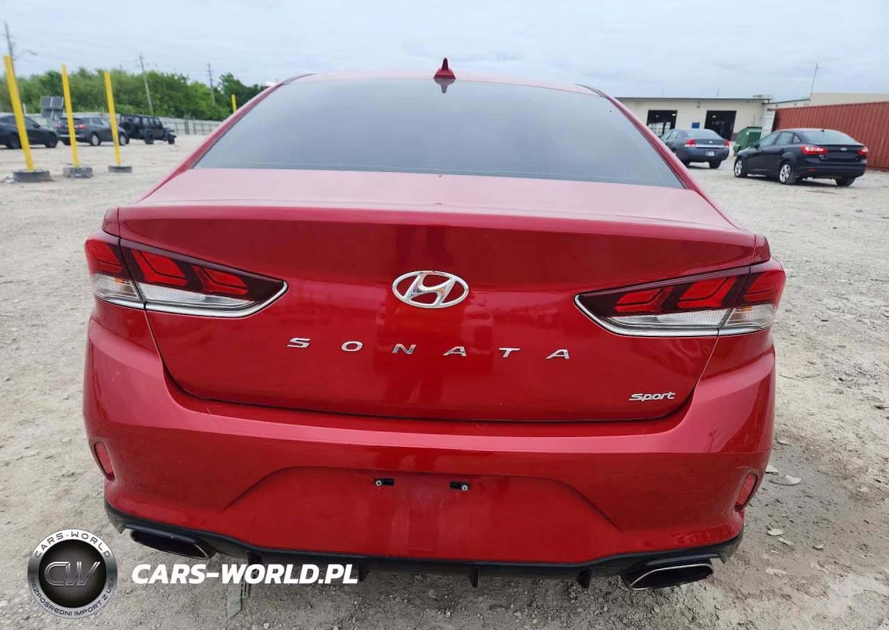 2019 Hyundai Sonata Sport VIN:5NPE34AF9KH806741 - 6