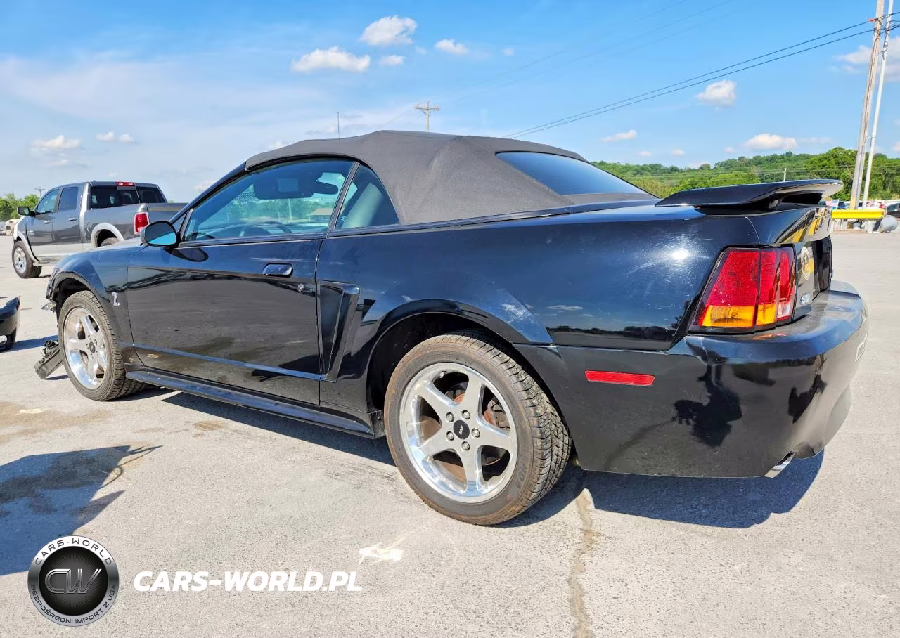 2001 Ford Mustang Cobra Svt VIN:1FAFP46V51F242982 - 2
