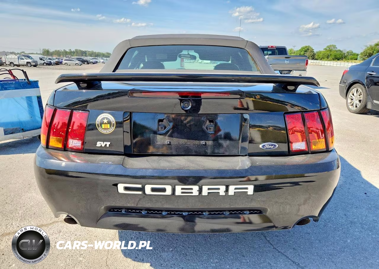 2001 Ford Mustang Cobra Svt VIN:1FAFP46V51F242982 - 6