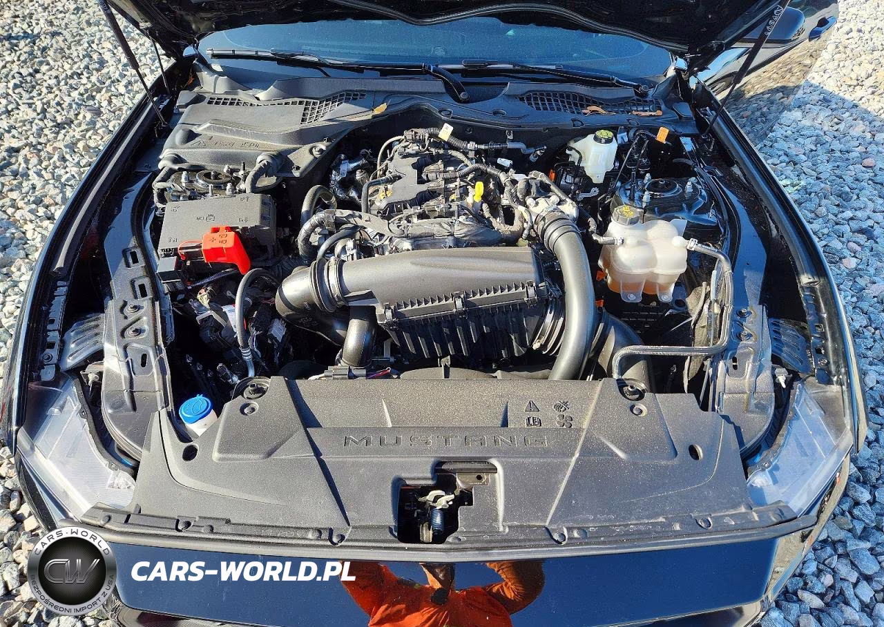 2025 Ford Mustang VIN:1FA6P8TH8S5103393 - 11