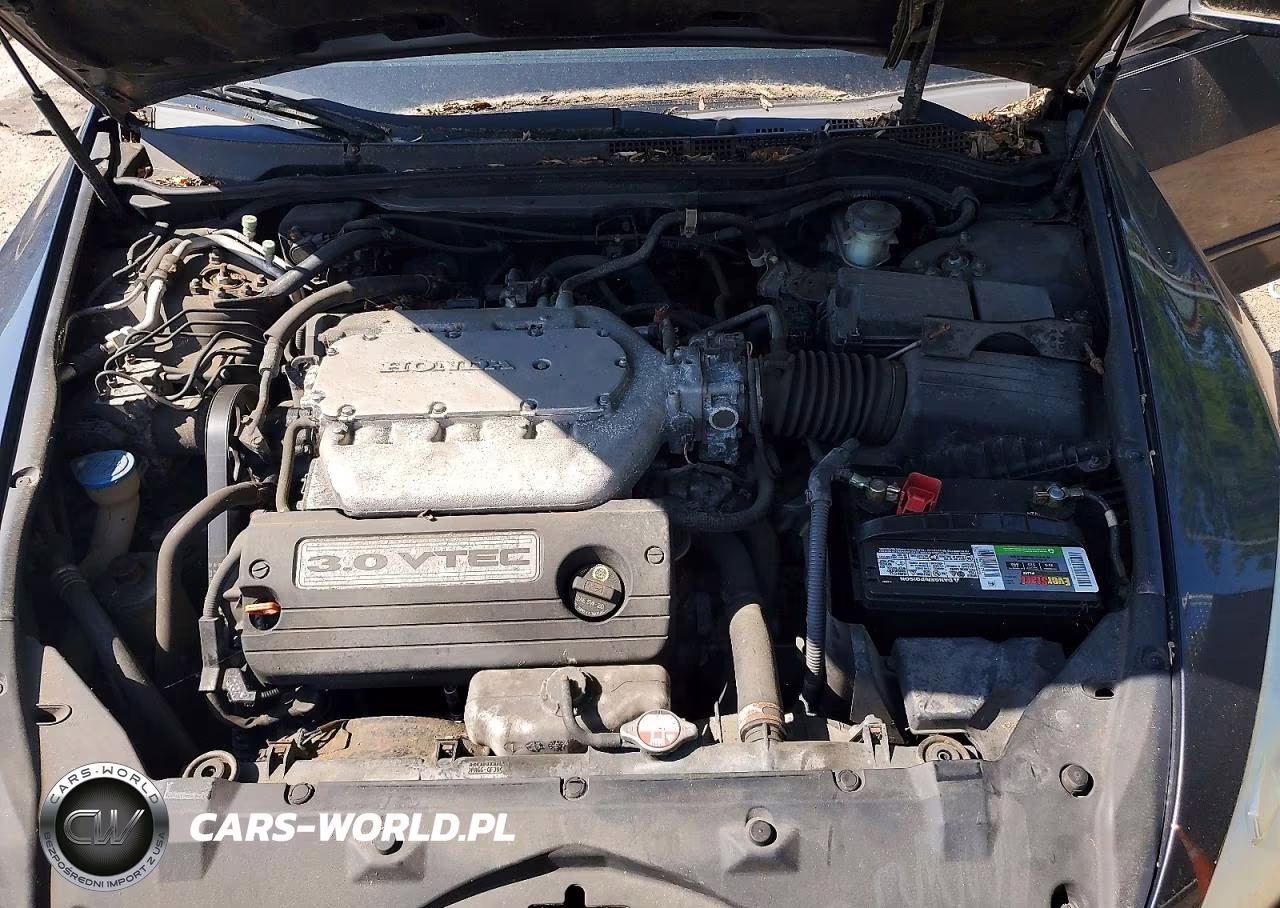 2007 Honda Accord Ex VIN:1HGCM66517A020142 - 11