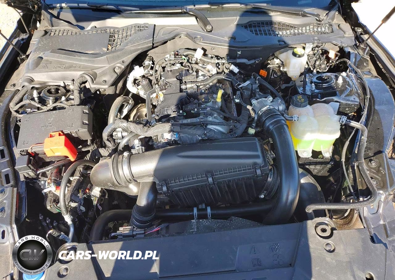 2026 Ford Mustang VIN:1FA6P8TH3T5101990 - 11