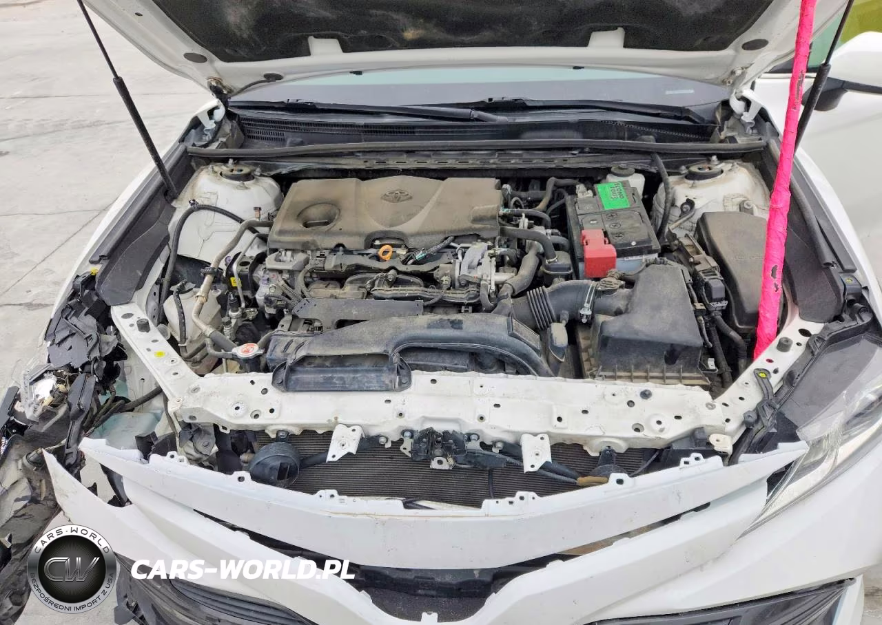 2019 Toyota Camry Le VIN:4T1B11HK7KU203279 - 11