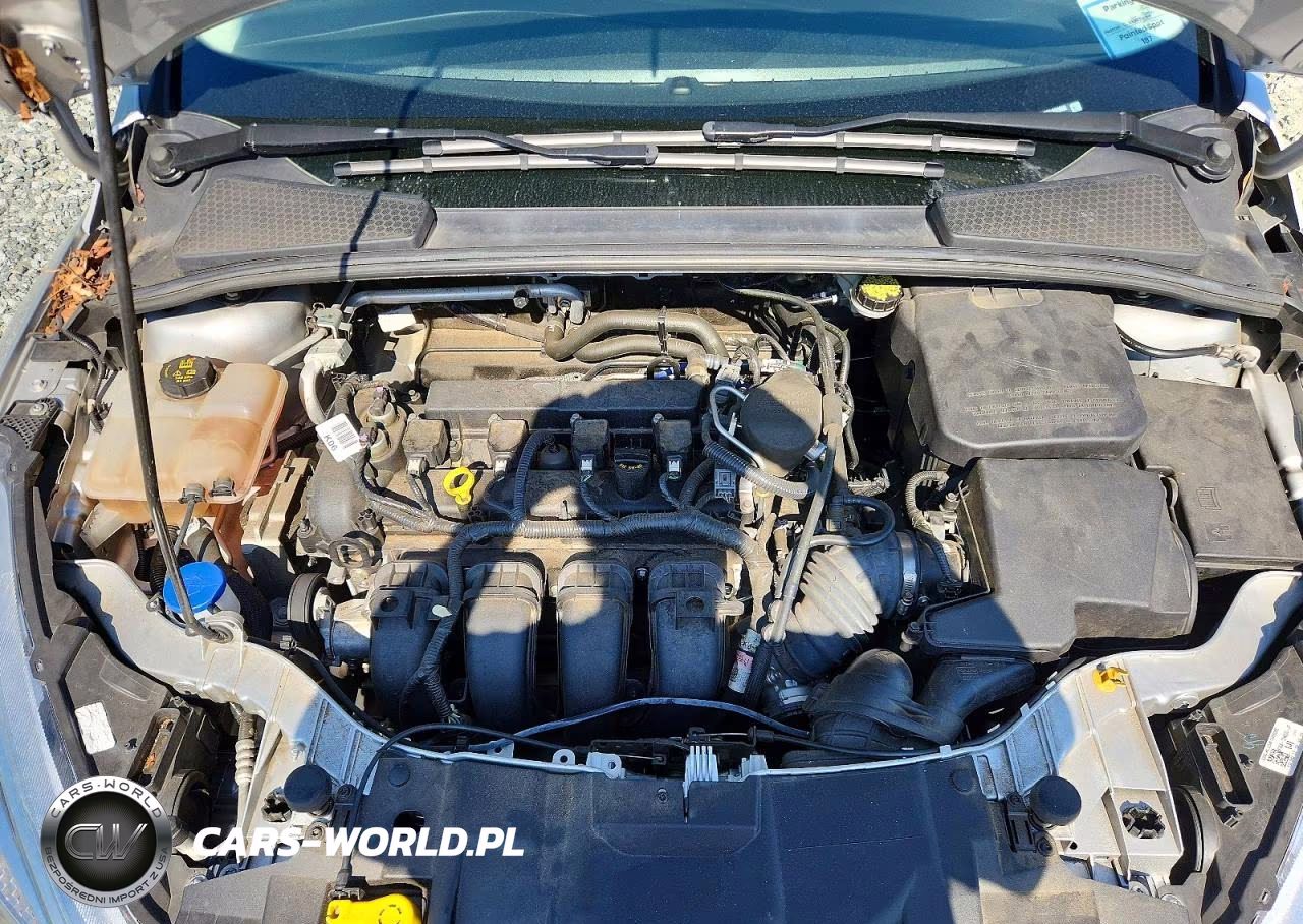 2015 Ford Focus Se VIN:1FADP3F26FL291690 - 11