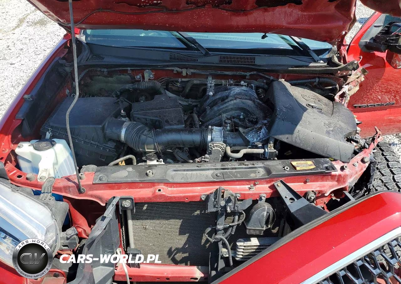 2019 Toyota Tacoma Trd Sport VIN:5TFSZ5AN8KX211365 - 11