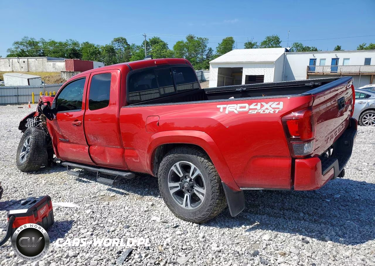 2019 Toyota Tacoma Trd Sport VIN:5TFSZ5AN8KX211365 - 2