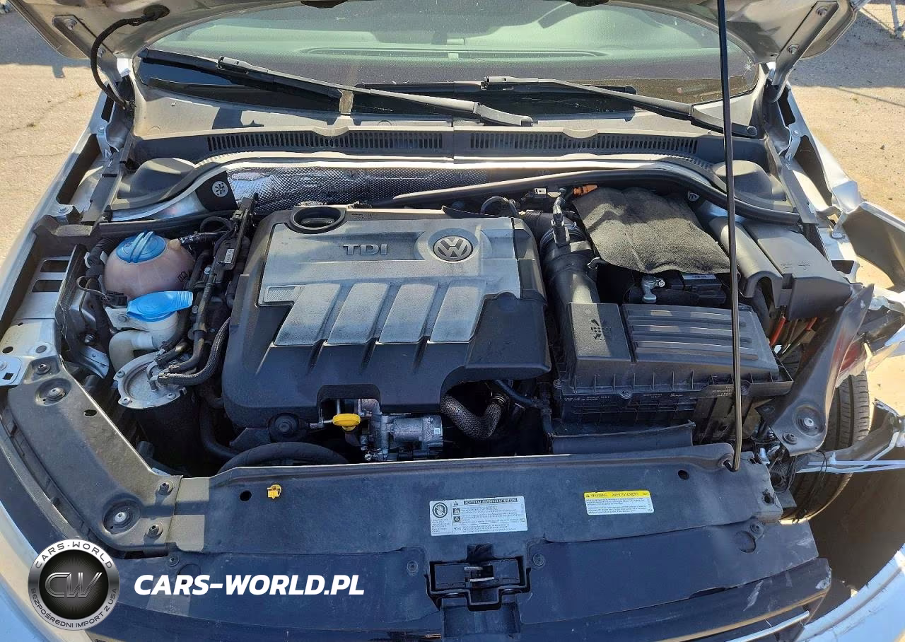 2014 Volkswagen Jetta Tdi VIN:3VWLL7AJ4EM290300 - 11