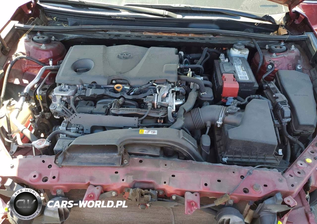 2019 Toyota Camry Le VIN:4T1B11HK9KU290165 - 11