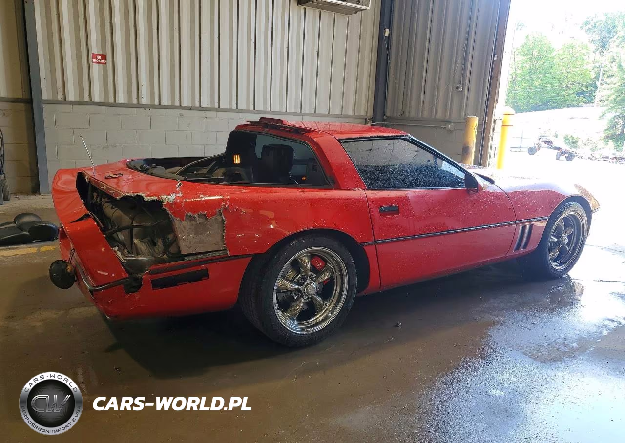 1989 Chevrolet Corvette VIN:1G1YY2189K5115206 - 3
