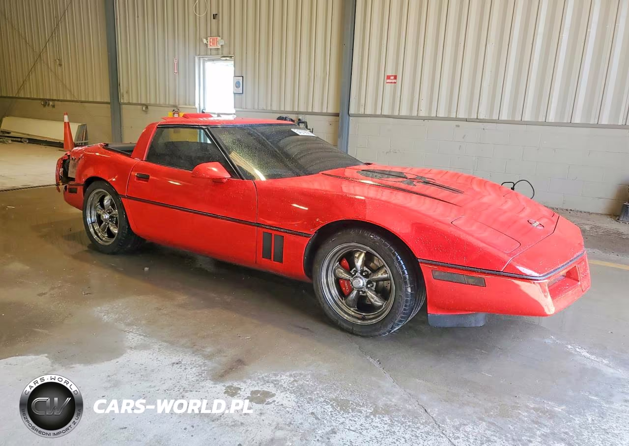 1989 Chevrolet Corvette VIN:1G1YY2189K5115206 - 4