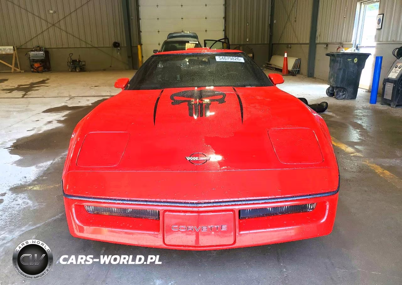 1989 Chevrolet Corvette VIN:1G1YY2189K5115206 - 5