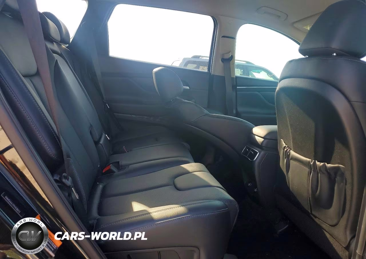 2023 Hyundai Santa Fe Xrt VIN:5NMS64AJ7PH518073 - 10