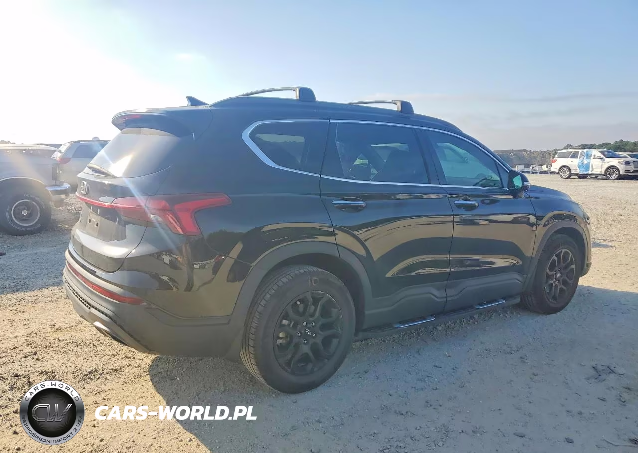 2023 Hyundai Santa Fe Xrt VIN:5NMS64AJ7PH518073 - 3