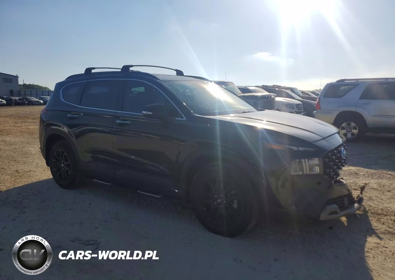 2023 Hyundai Santa Fe Xrt VIN:5NMS64AJ7PH518073 - 4