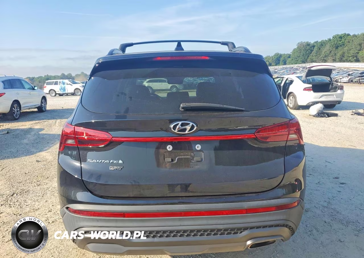 2023 Hyundai Santa Fe Xrt VIN:5NMS64AJ7PH518073 - 6