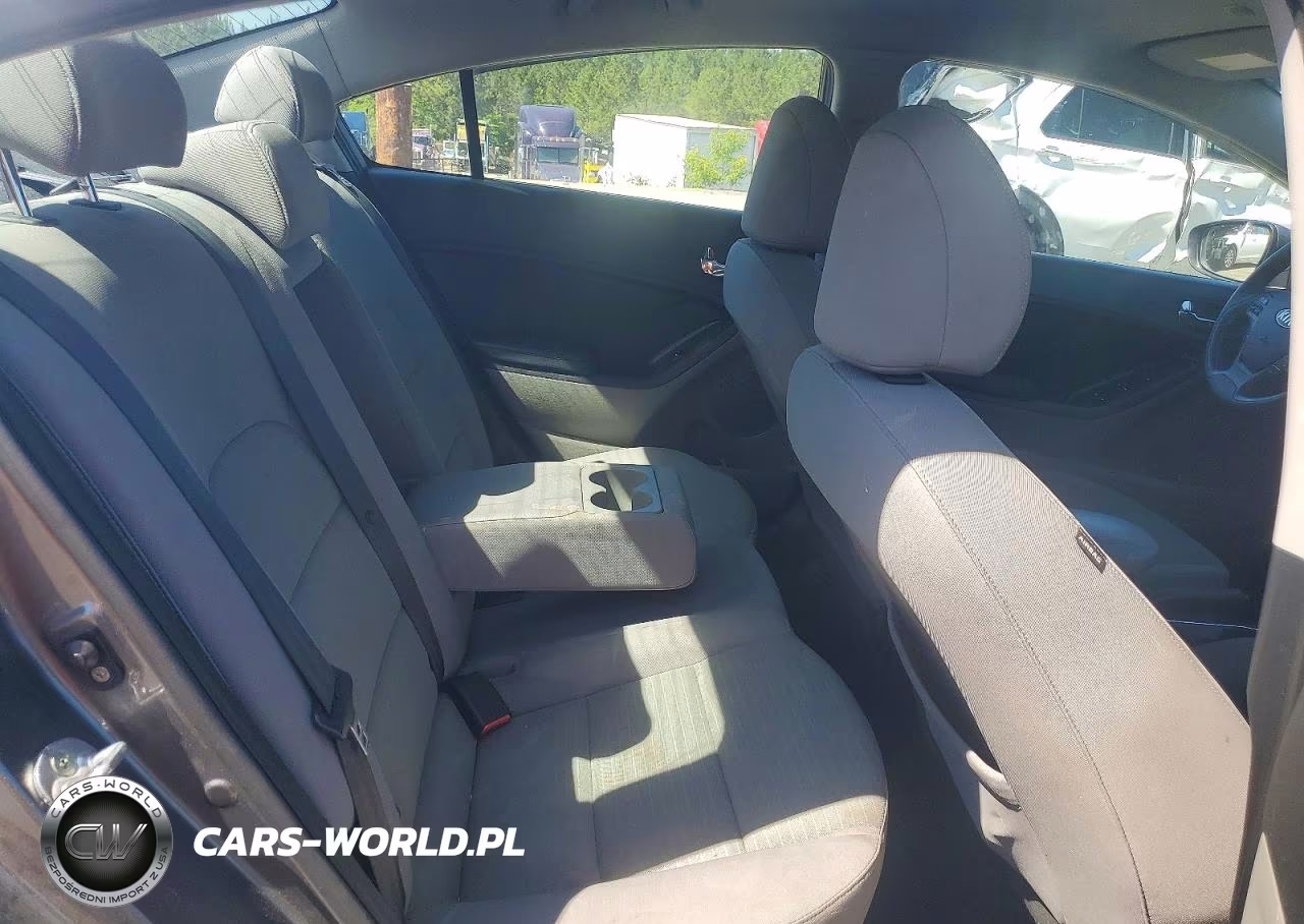 2016 Kia Forte Lx VIN:KNAFX4A67G5502854 - 10