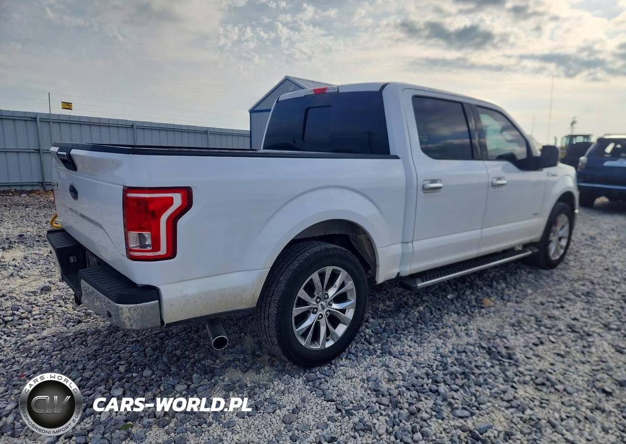 2017 Ford F150 Supercrew VIN:1FTEW1CG4HKE06754 - 3