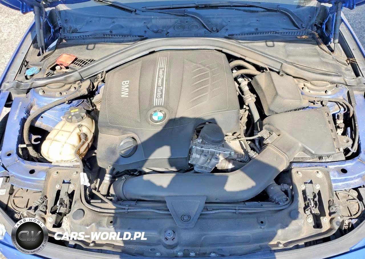 2016 BMW 435 I Gran Coupe VIN:WBA4B1C56GG243089 - 11