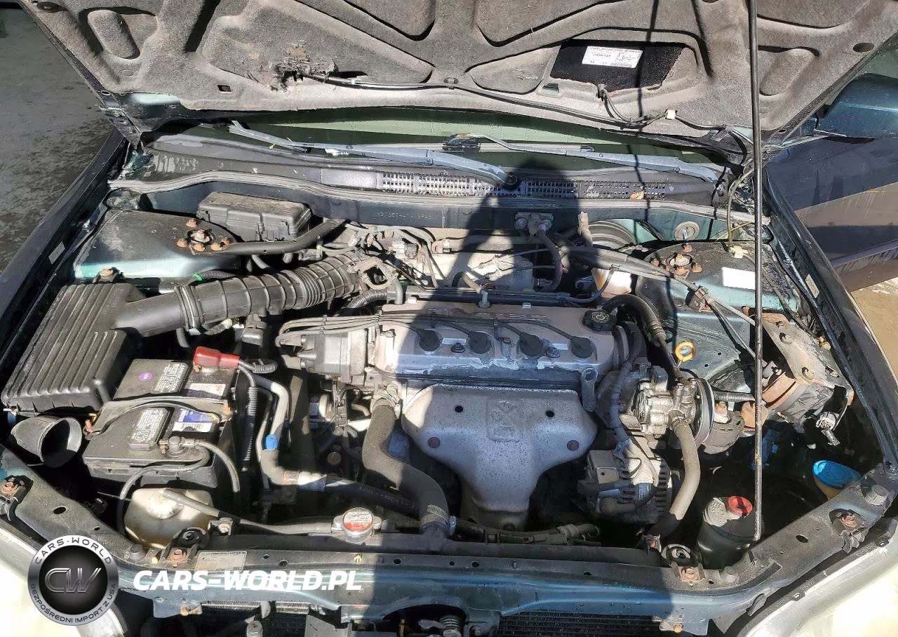 2001 Honda Accord Lx VIN:1HGCG56441A139481 - 11