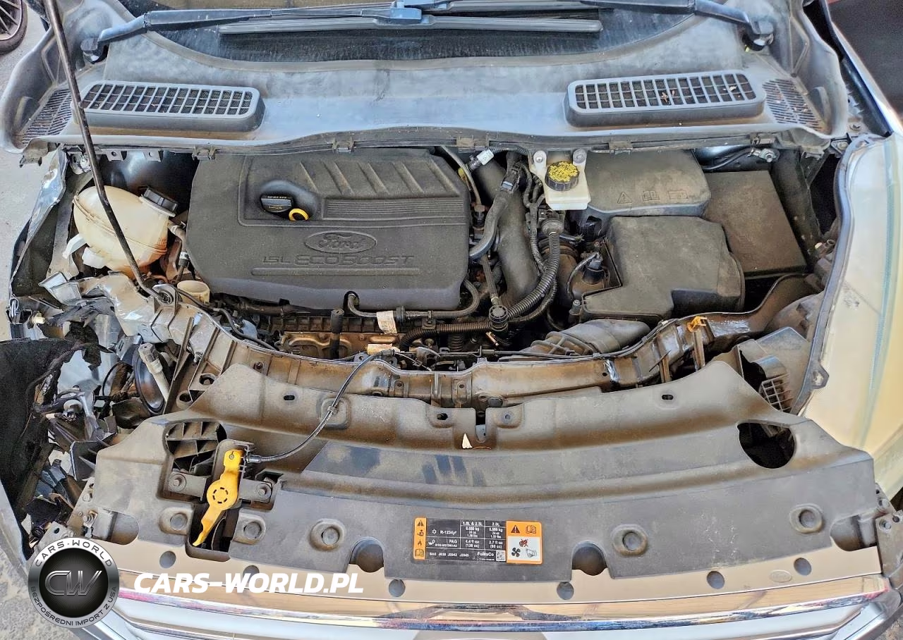 2017 Ford Escape Se VIN:1FMCU0GD2HUA54636 - 12