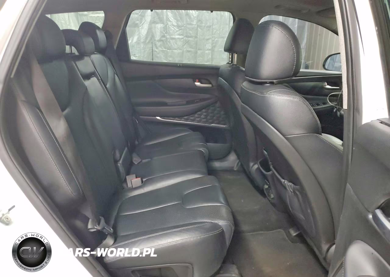 2020 Hyundai Santa Fe Limited VIN:5NMS5CADXLH163921 - 11