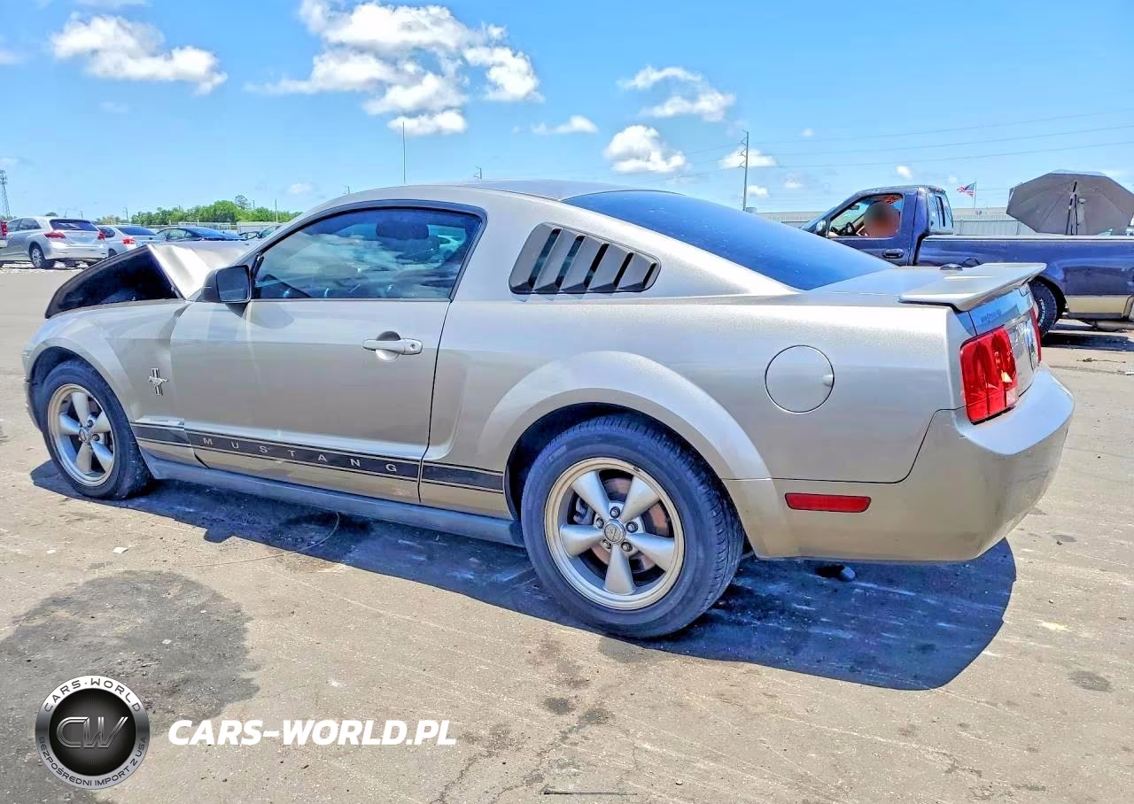 2008 Ford Mustang VIN:1ZVHT80N685111250 - 2