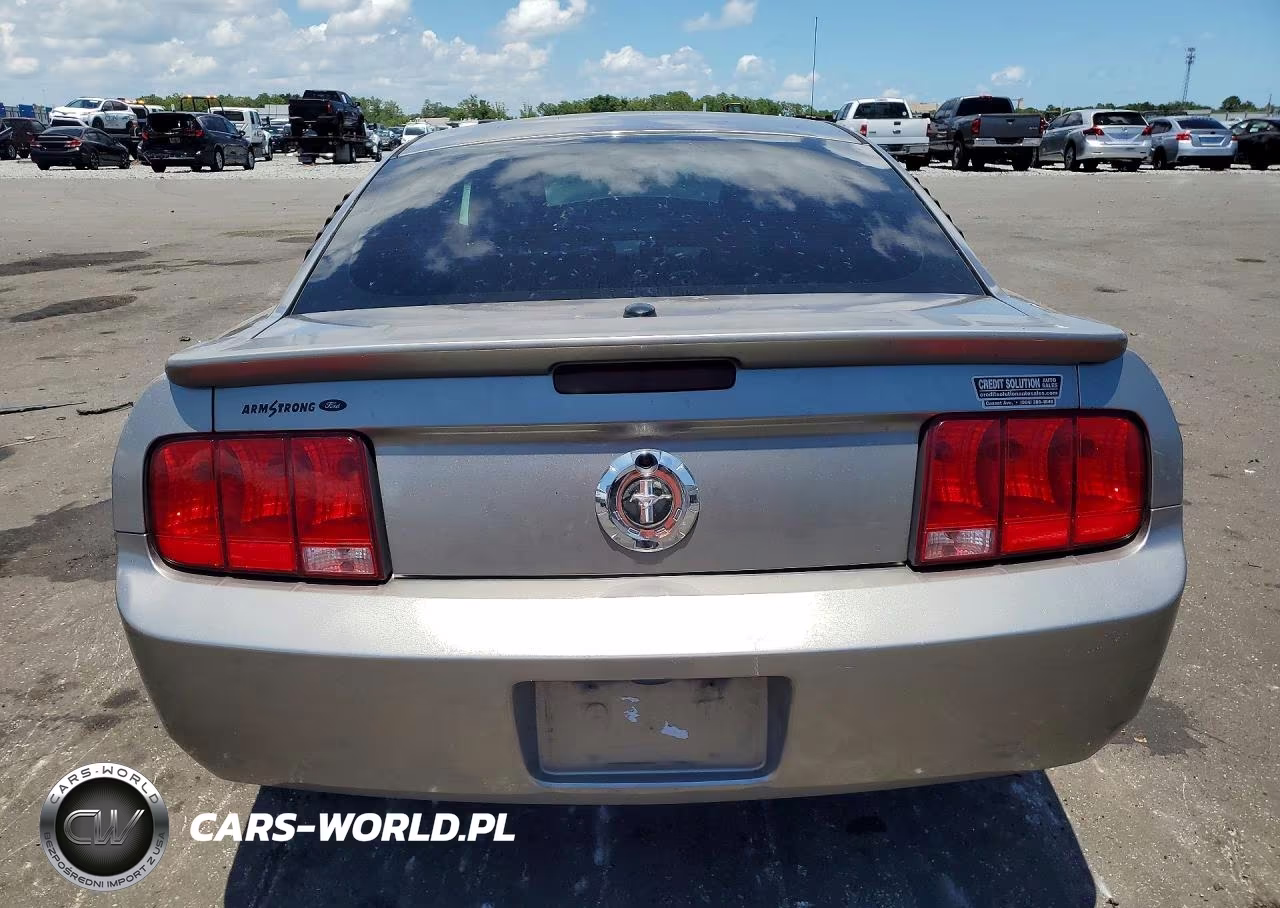 2008 Ford Mustang VIN:1ZVHT80N685111250 - 6