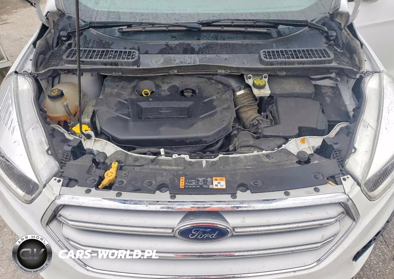 2017 Ford Escape Se VIN:1FMCU0G98HUE35824 - 12