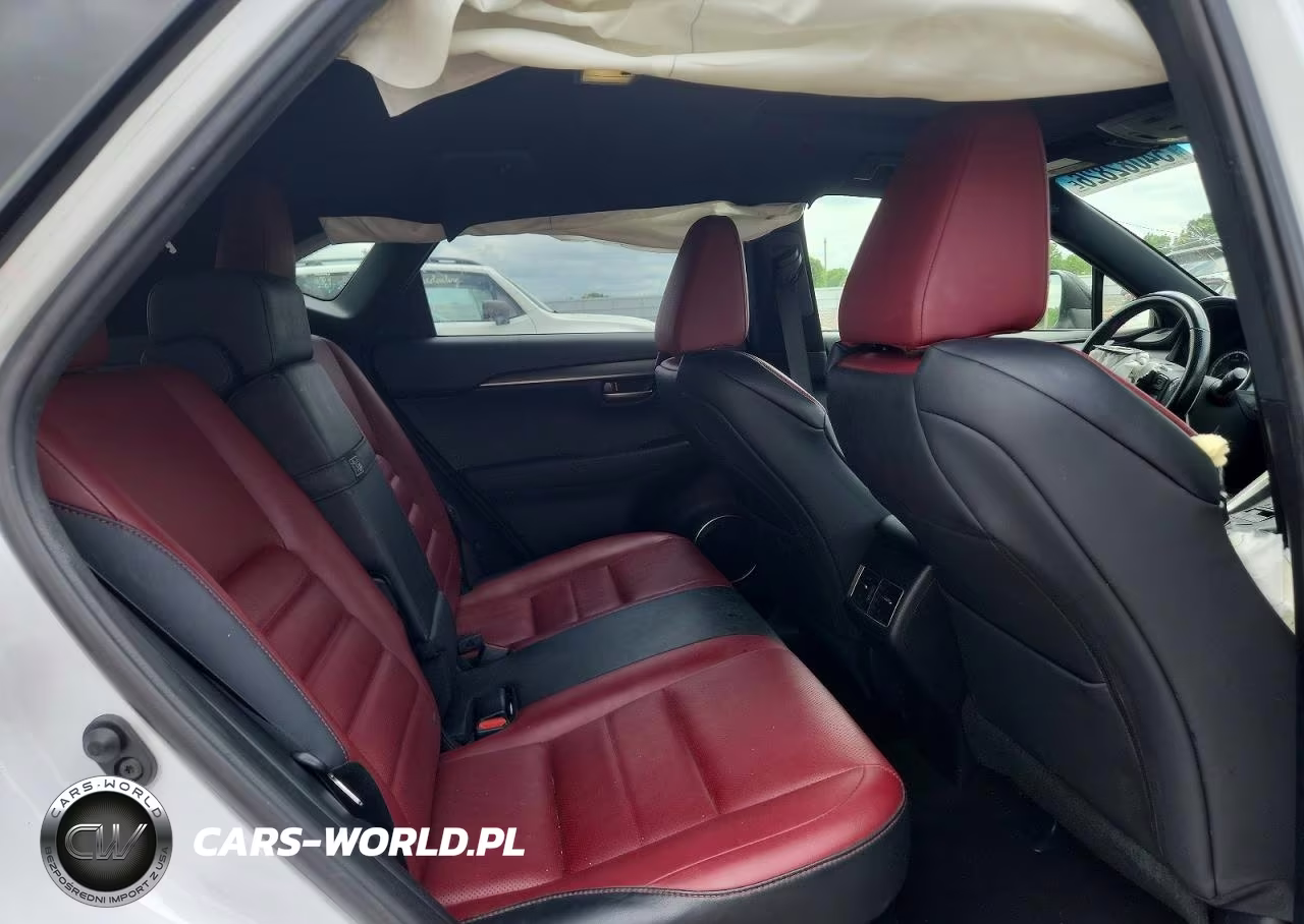 2016 Lexus Nx 200T F Sport VIN:JTJBARBZ8G2090435 - 10