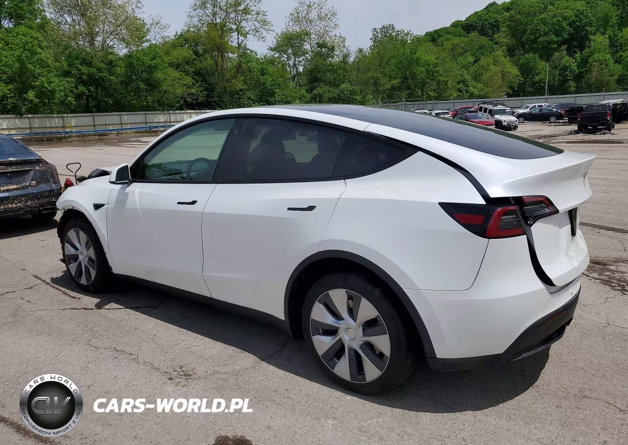 2022 Tesla Y VIN:7SAYGDEE0NF455615 - 2