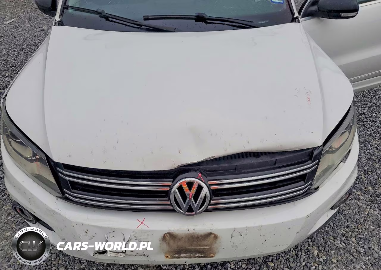2017 Volkswagen Tiguan Sport VIN:WVGTV7AXXHK010680 - 12