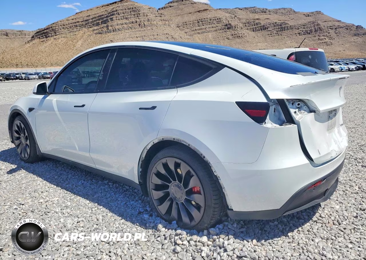 2023 Tesla Model Y VIN:7SAYGDEF3PF619435 - 2