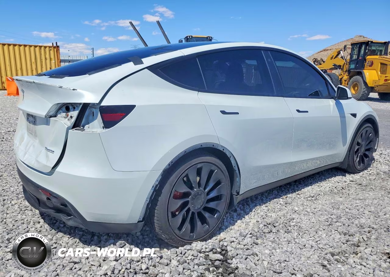 2023 Tesla Model Y VIN:7SAYGDEF3PF619435 - 3
