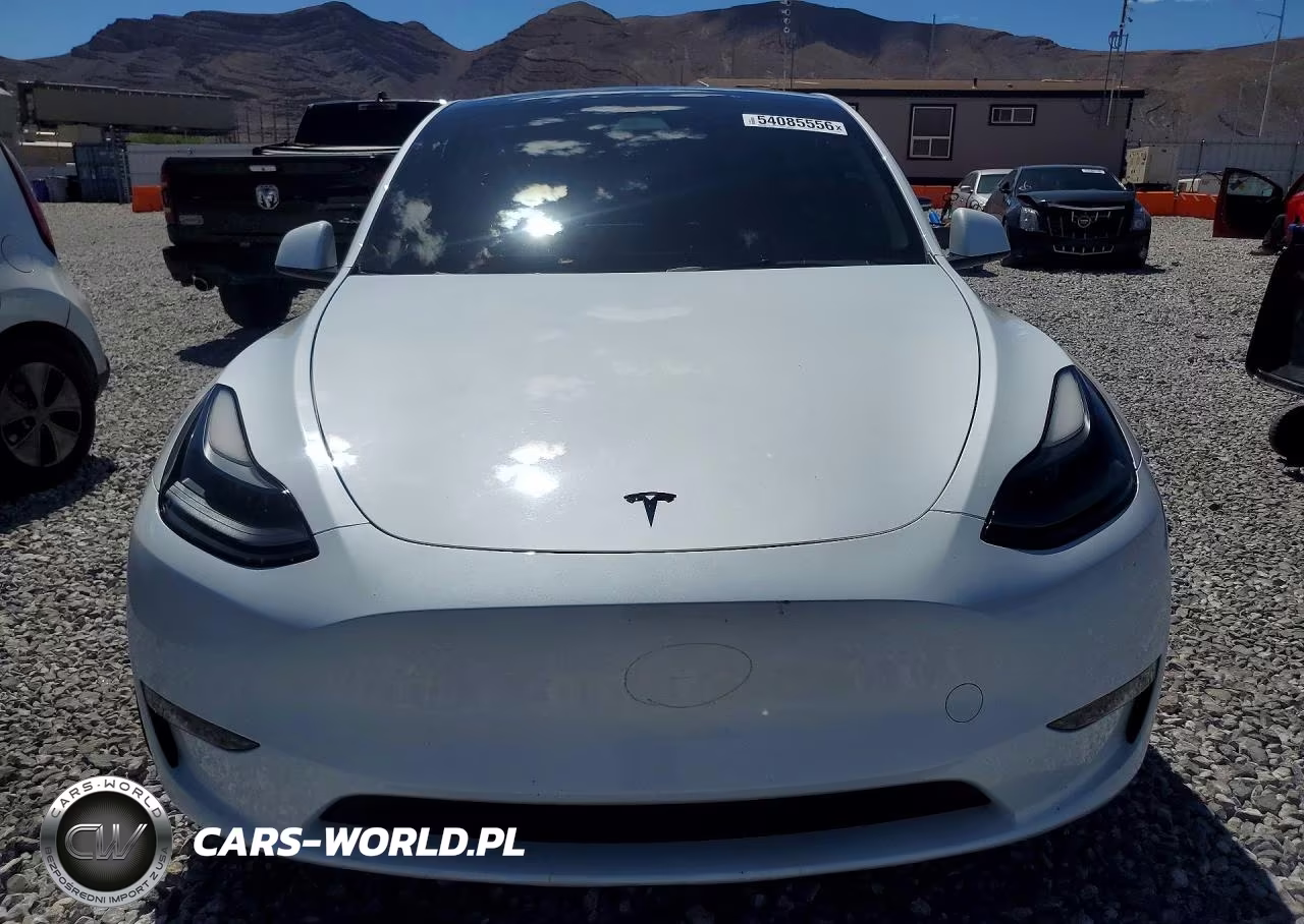 2023 Tesla Model Y VIN:7SAYGDEF3PF619435 - 5