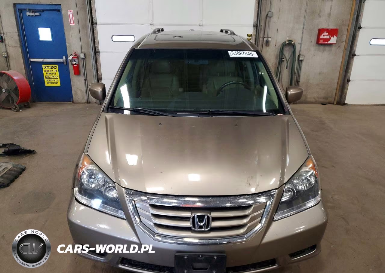 2010 Honda Odyssey Exl VIN:5FNRL3H74AB033359 - 5