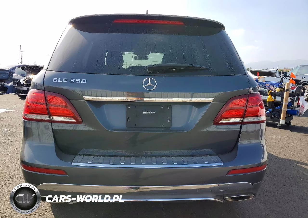 2016 Mercedes-Benz Gle 350 VIN:4JGDA5JB6GA684807 - 6