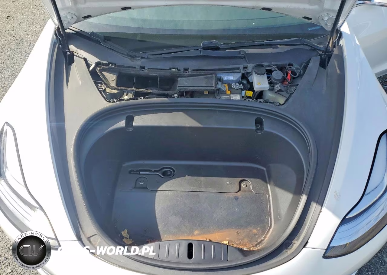 2020 Tesla Model 3 VIN:5YJ3E1EA4LF709025 - 11