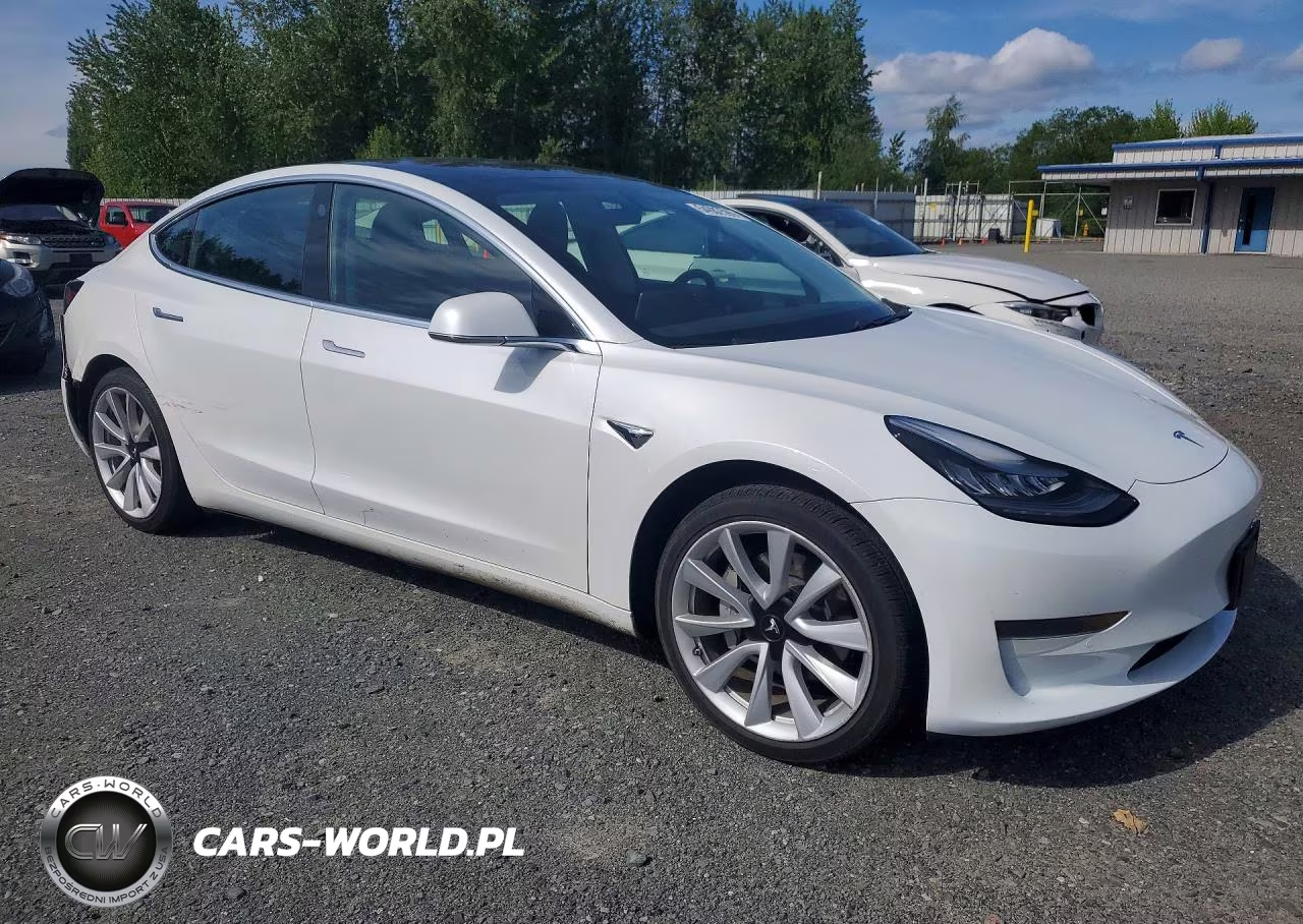 2020 Tesla Model 3 VIN:5YJ3E1EA4LF709025 - 4