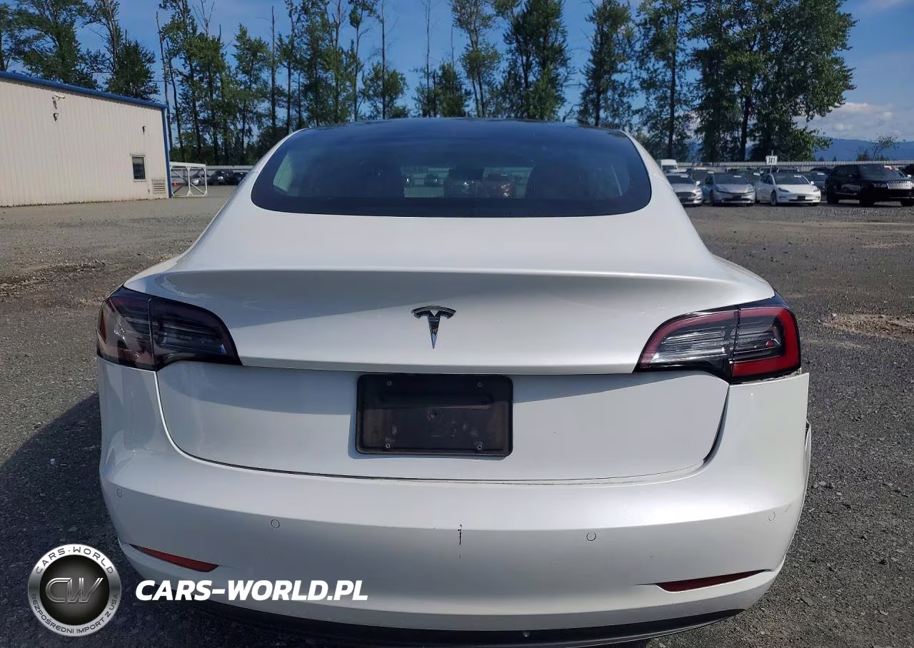 2020 Tesla Model 3 VIN:5YJ3E1EA4LF709025 - 6