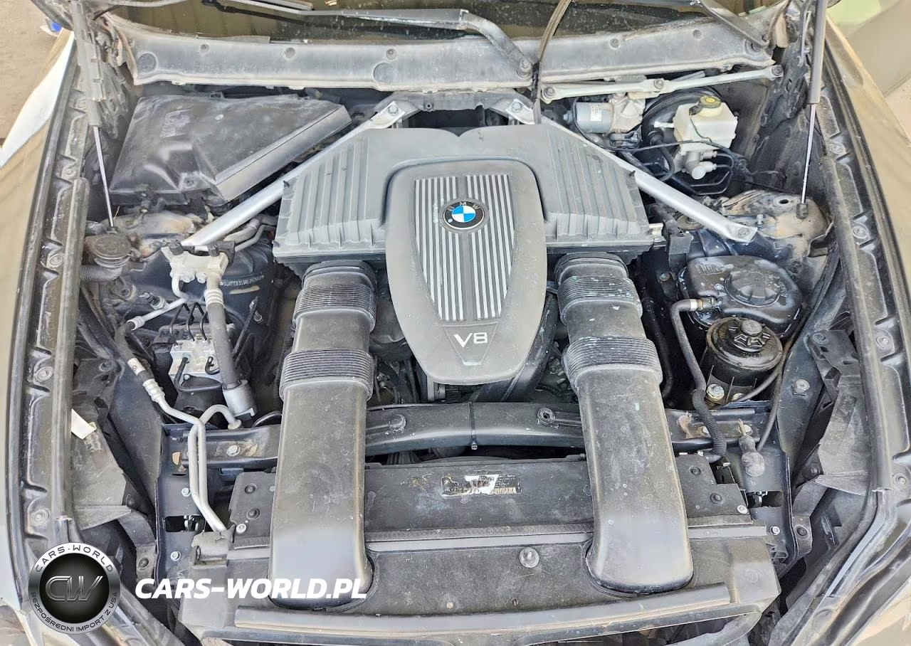 BMW X5 4.8I VIN:5UXFE83598LZ47662 - 12