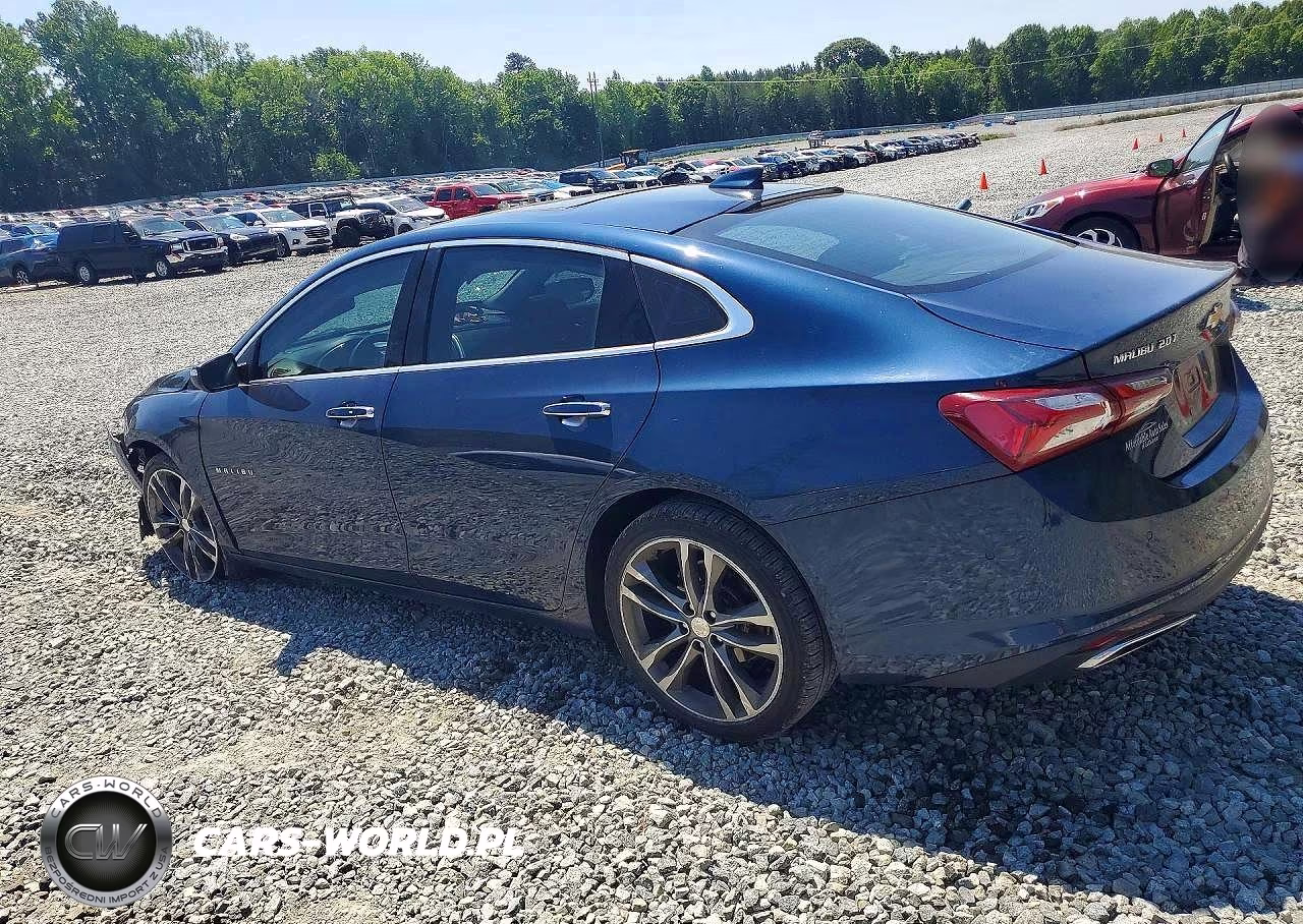 2019 Chevrolet Malibu Premier VIN:1G1ZE5SX2KF151415 - 2