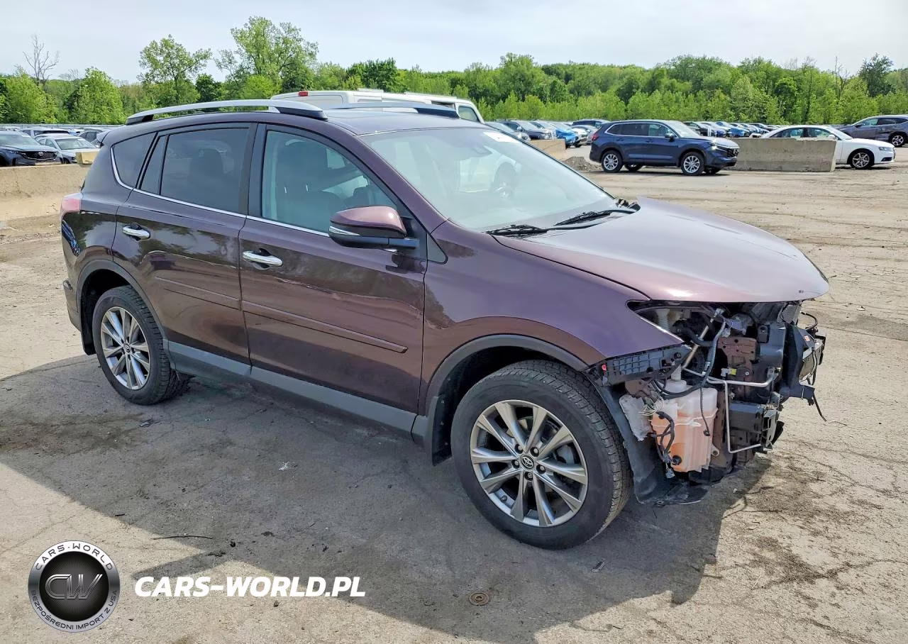 2016 Toyota Rav4 Limited VIN:2T3DFREV7GW468600 - 4