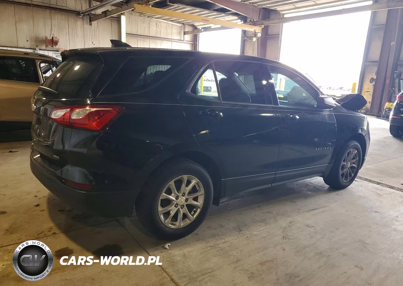 2019 Chevrolet Equinox Ls VIN:2GNAXSEV9K6164512 - 3