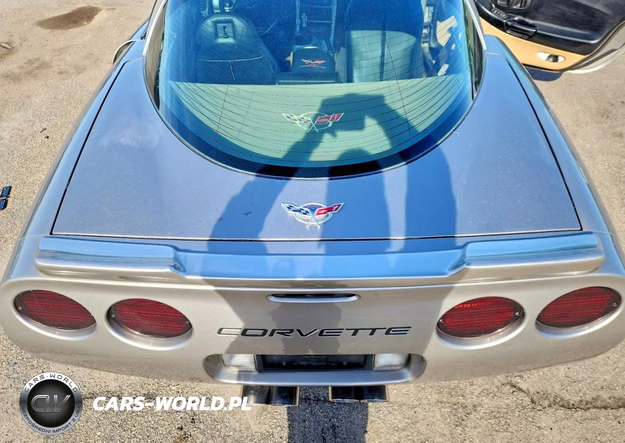 1999 Chevrolet Corvette VIN:1G1YY22G8X5132950 - 10