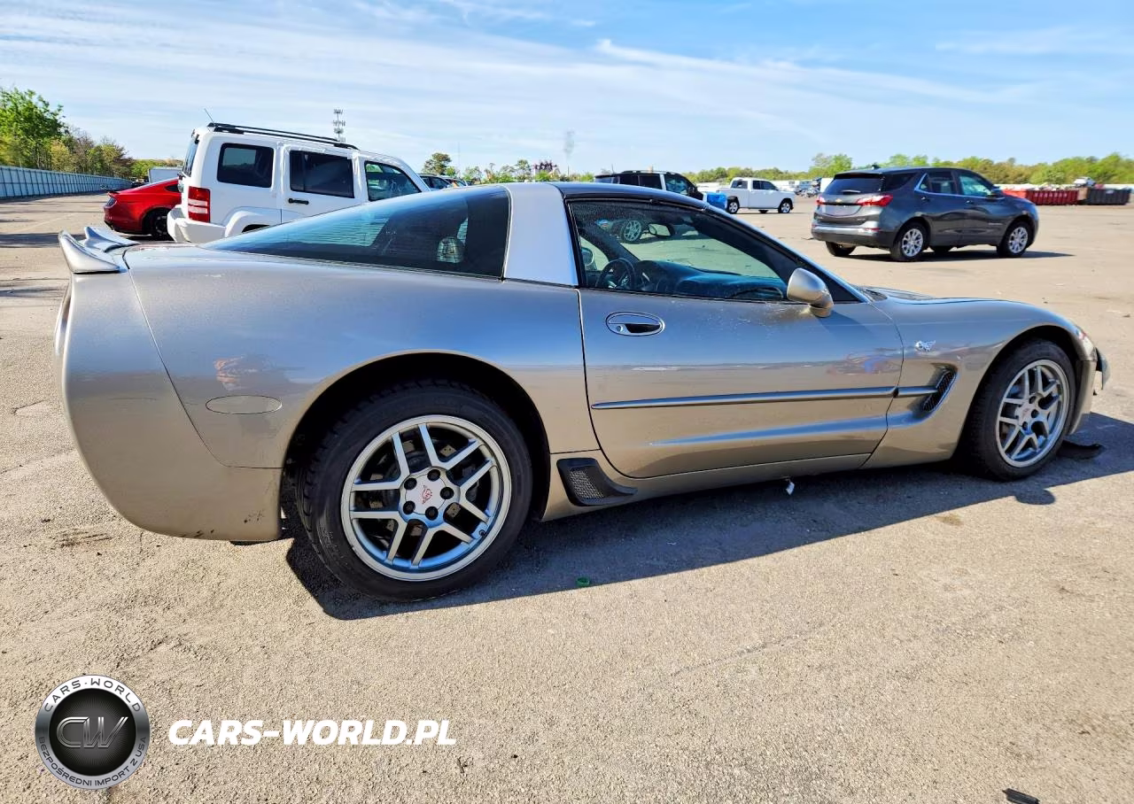 1999 Chevrolet Corvette VIN:1G1YY22G8X5132950 - 3