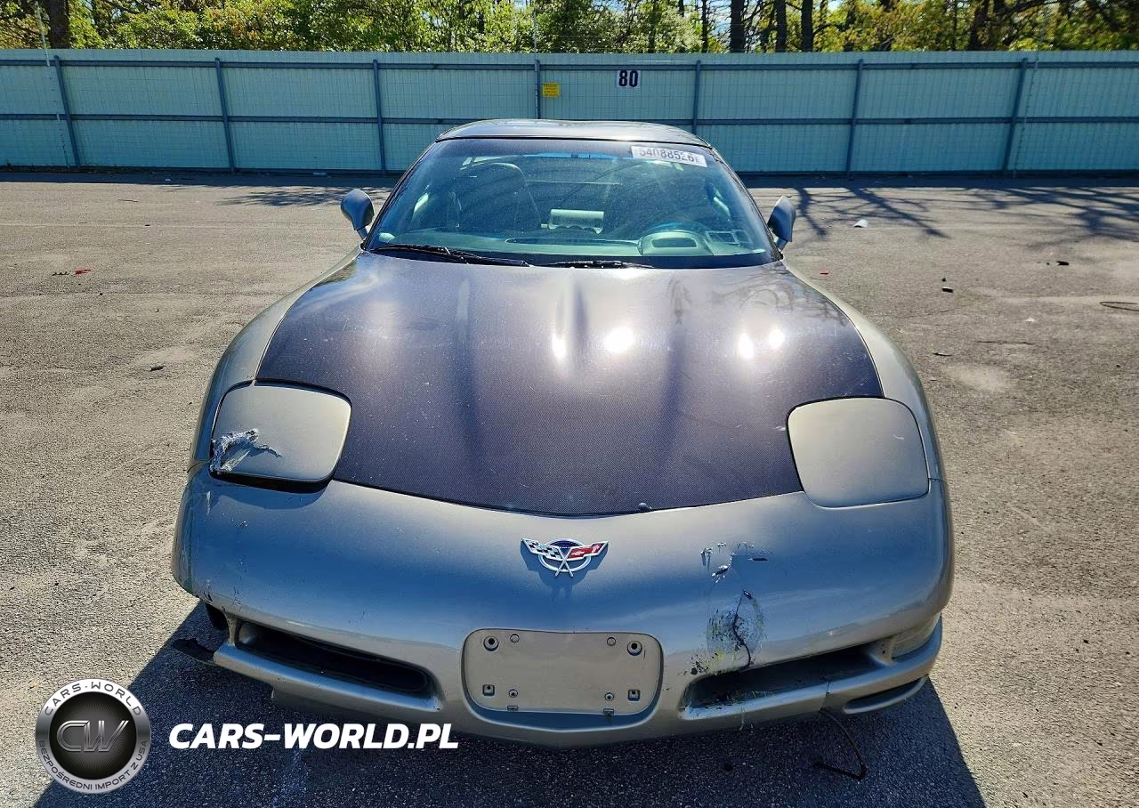 1999 Chevrolet Corvette VIN:1G1YY22G8X5132950 - 5