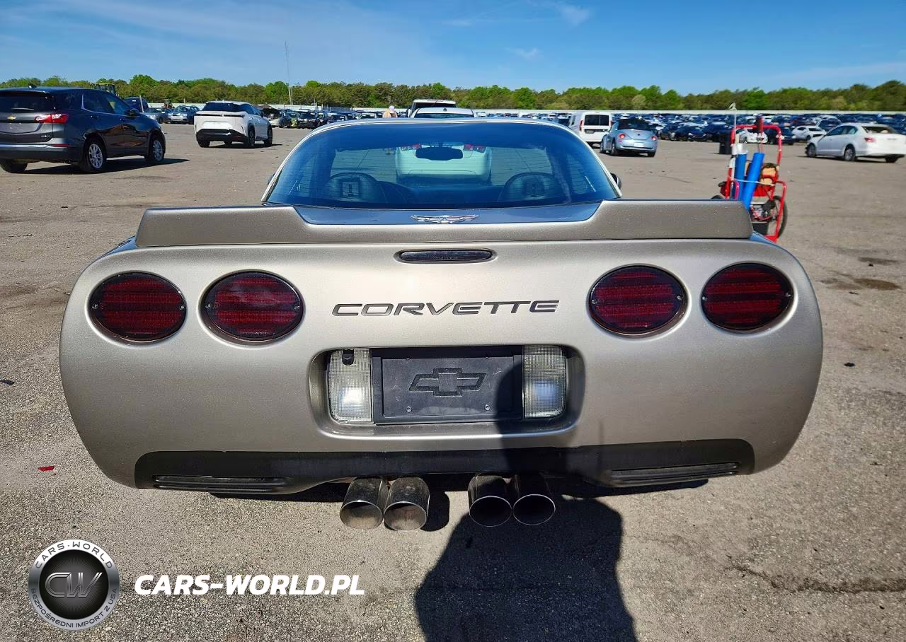 1999 Chevrolet Corvette VIN:1G1YY22G8X5132950 - 6