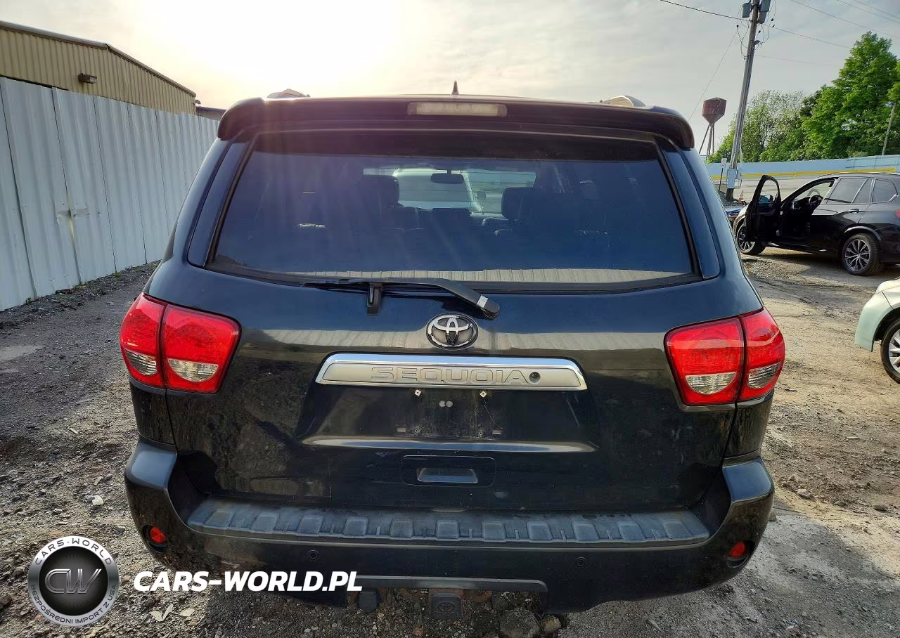 2010 Toyota Sequoia Limited VIN:5TDJY5G14AS034434 - 6