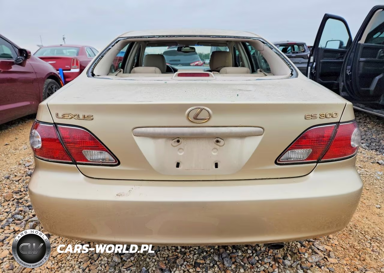 2003 Lexus Es 300 VIN:JTHBF30G130148344 - 6